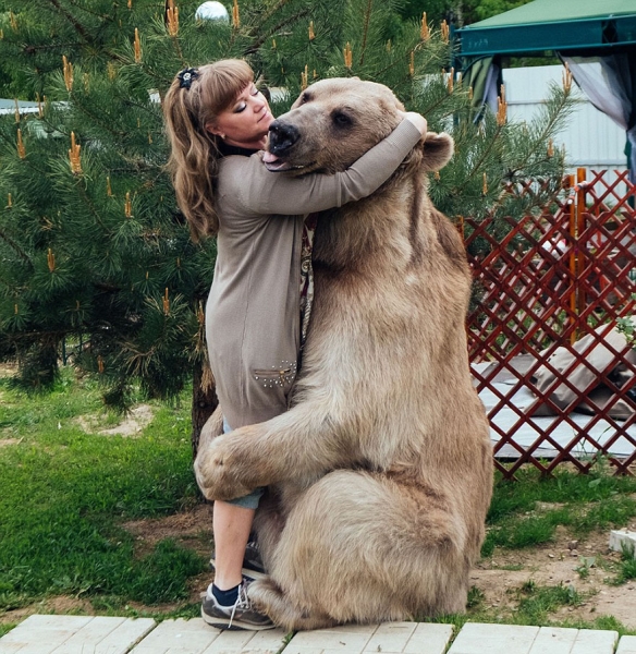 Медведь Степан из России 