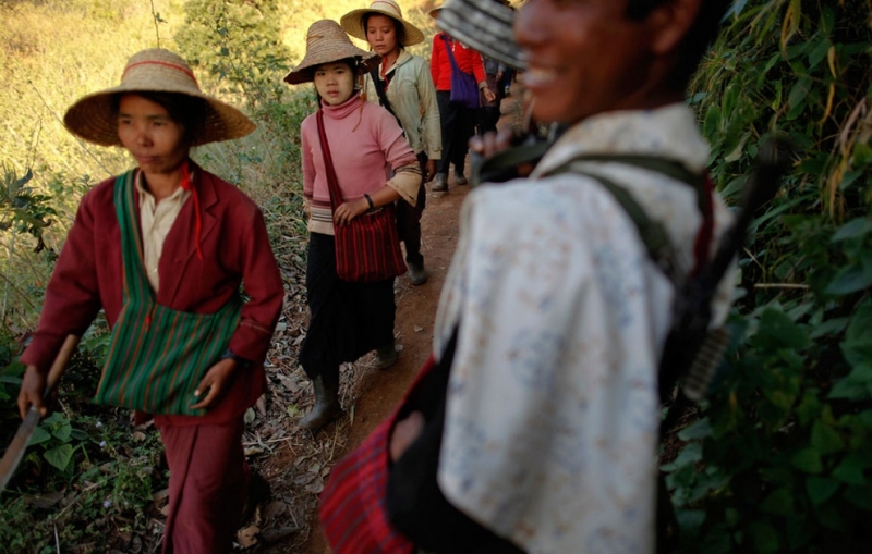 Опиумные войны: Уничтожение маковых полей в Мьянме (20 фото)
