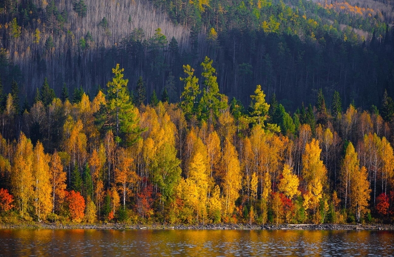 Потрясающие фото золотой осени России 