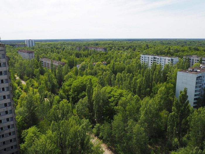 Природа Чернобыля выиграла битву с цивилизацией