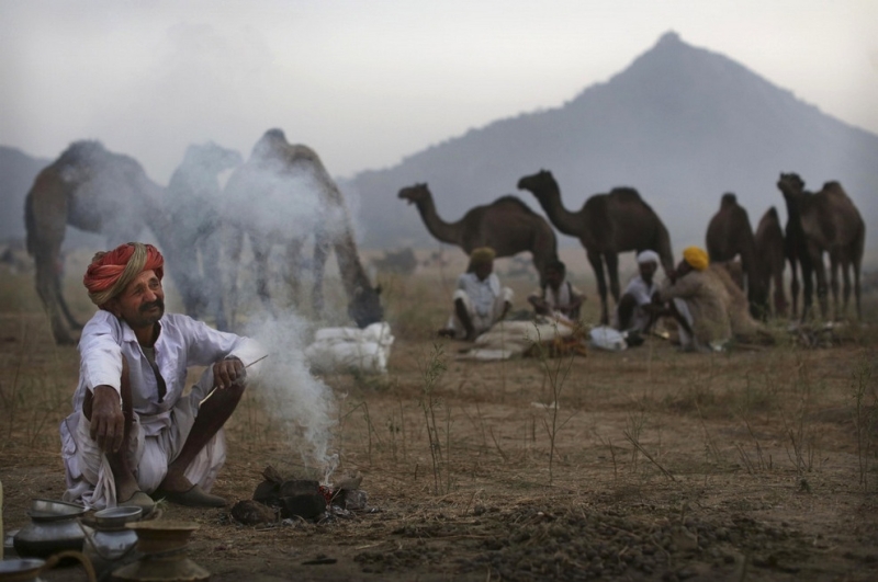 Пушкар-мела 2012: Самая большая в мире ярмарка верблюдов (20 фото)