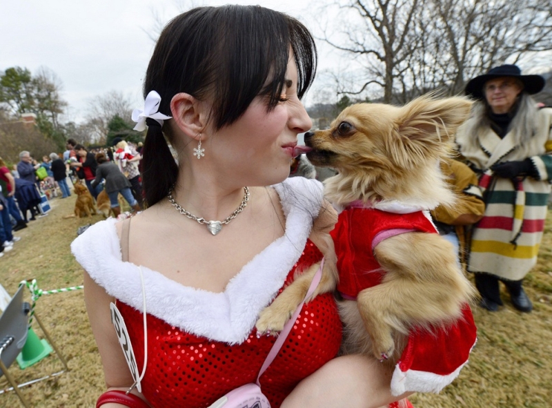 Reindog Parade 2012: Рождественский парад собак в Атланте (10 фото)