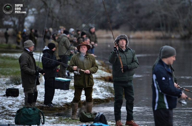 Шотландцы открыли сезон ловли лососевых (5 фото)