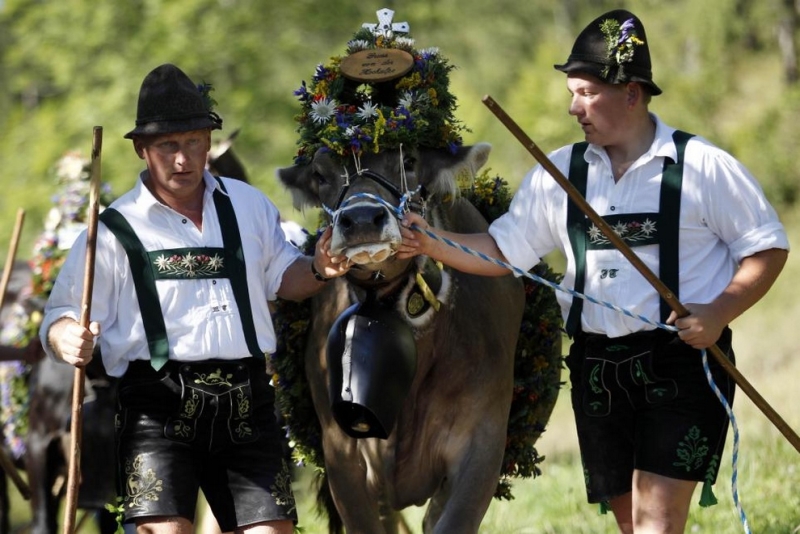 Традиционный праздник «Альмабтриб» в Баварии (6 фото)