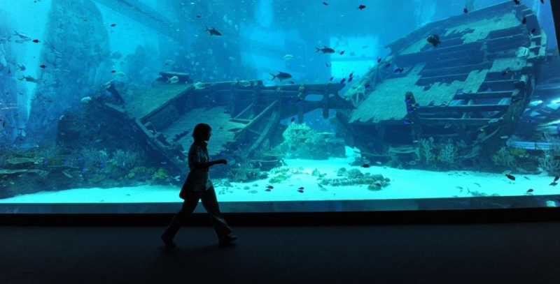 В Сингапуре открывается самый большой в мире океанариум (7 фото + видео)