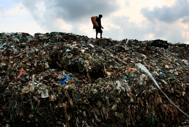 Возможно ли прокормить семь миллиардов человек, не уничтожив окружающую среду? (20 фото)
