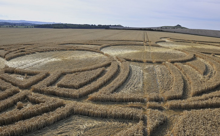 Загадочные круги на полях в графстве Уилтшир