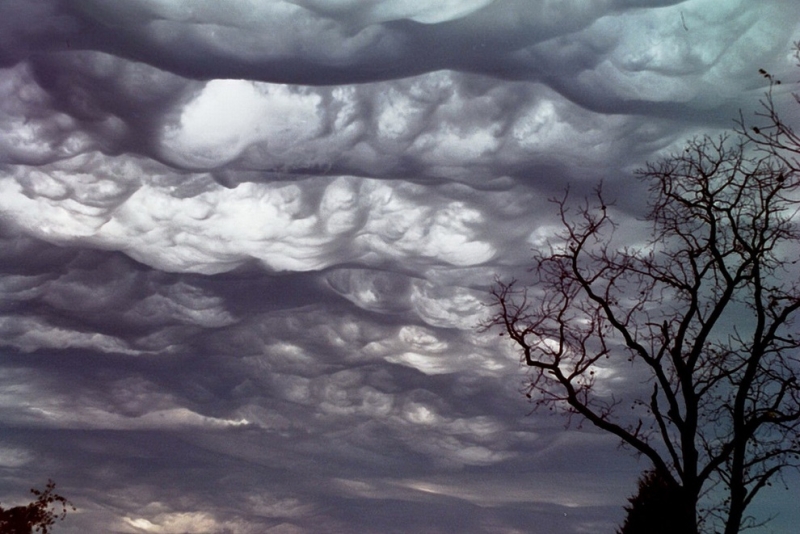 Зарегистрирован новый тип облаков — Undulatus asperatus (12 фото + видео)