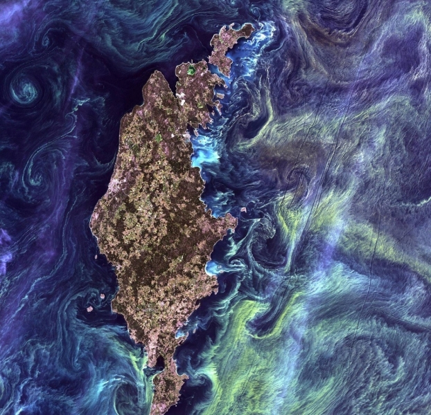 Земля из космоса в псевдоцветах (15 фото)