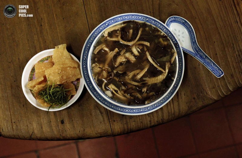 Как готовят змеиный суп в Гонконге (6 фото)