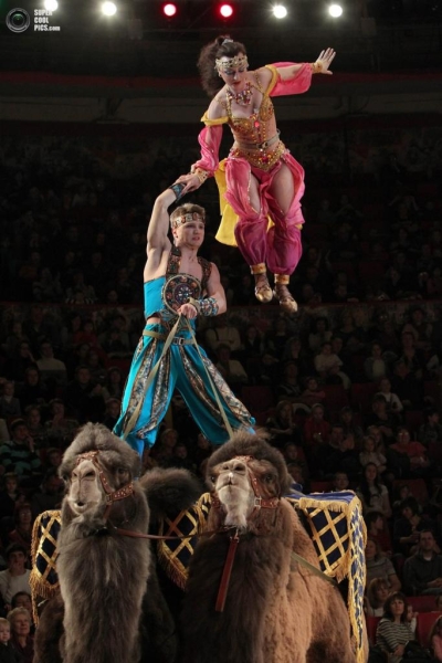 Медведи-канатоходцы в цирке на Фонтанке (7 фото)