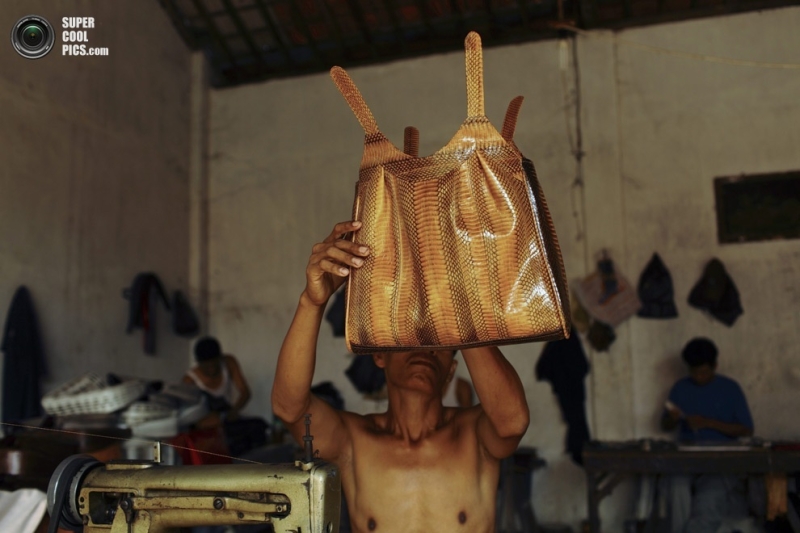 Производство сумок из змеиной кожи (20 фото)