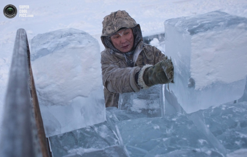 Северный полюс холода (22 фото)