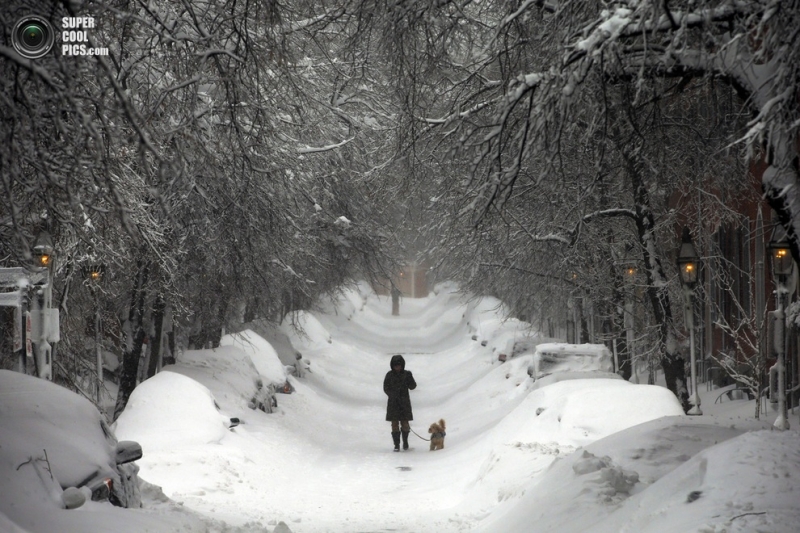 Северо-восток США «погребён» под толстым слоем снега (20 фото)