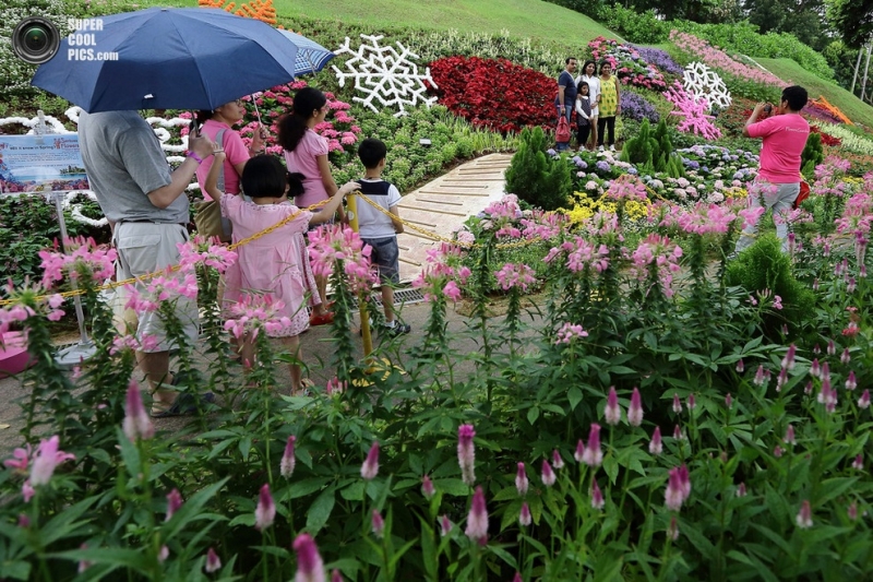 Сингапурская выставка Sentosa Flowers 2013 (12 фото)