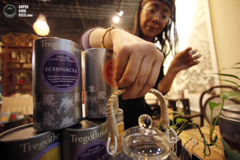 Tregothnan — английский чай, экспортируемый в Индию и Китай (20 фото)