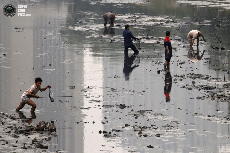 Загрязнение воды в Китае (25 фото)